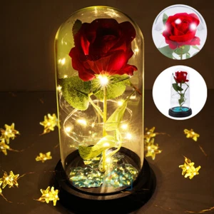 LED Lighted Beauty and the Beast Enchanted Rose In Glass Dome Mother's Day Gift - Picture 1 of 13