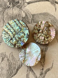 3 Boutons anciens en nacre épaisse - sculpté - Haute Couture - Mercerie - Picture 1 of 3