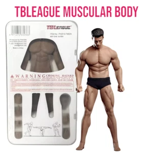 TBLeague TM02A Phicen Male Seamless Muscular Body w/ Head 1/12 Action FIGURE - Picture 1 of 8