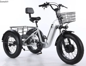 20" 500W 48V Elektro-Lastendreirad, 35km/h, 50km Reichweite, 140kg, E-Trike, CE - Bild 1 von 12