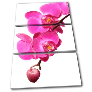 Orchids Flowers Floral TREBLE CANVAS WALL ART Picture Print VA - Picture 1 of 1