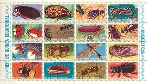 7. Guinea Ecuatorial insects - Picture 1 of 2