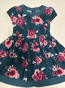 Gymboree 3T Girls Dress Toddler Teal Pink Floral Soft Corduroy Ready Jet Go - Picture 1 of 10