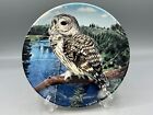 Wedgwood The Majesty Of Owls Barred Owl Plate Danbury Mint 763