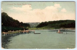 1910's COVE AT PINE GROVE NIANTIC CONNECTICUT*CT*ANTIQUE POSTCARD*GERMANY*JUDD - Picture 1 of 2