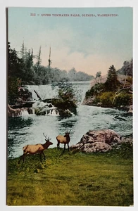 Cartolina Alce Upper Tumwater Falls c1910s Olympia Washington WA Cascata UNP - Foto 1 di 2