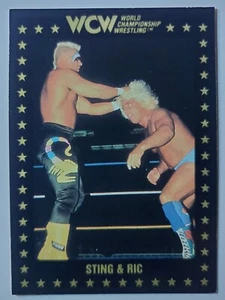 1991 Championship Marketing WCW #20 STING & RIC FLAIR - Picture 1 of 2