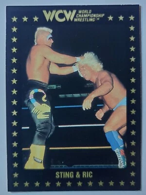 1991 Championship Marketing WCW #20 STING & RIC FLAIR - Image 1 of 2