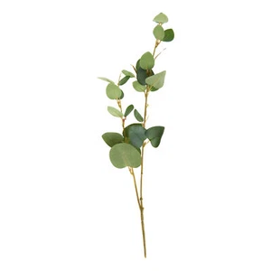 Ramo di eucalipto DPI 43 cm pianta verde naturale pianta decorazione floristica - Foto 1 di 1