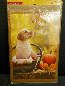 6 tarjetas de Acción de Gracias American Greetings de colección otoño otoño calabaza perro - Imagen 1 de 3
