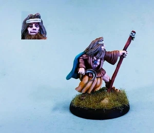 Reaper  painted miniature Druid - Bild 1 von 2