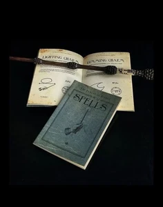 The Practical Pocket Book Of Spells - Picture 1 of 4