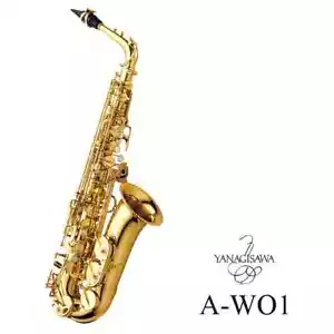 Yanagisawa / A-WO1 Alto Saxophone Double O Series Yellow Brass Lacquer Finish - Picture 1 of 2