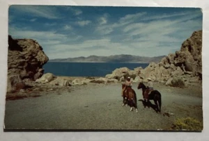 Western Riding Scene (Reno Is Part Of The Real West) Postcard (H1) - Picture 1 of 2