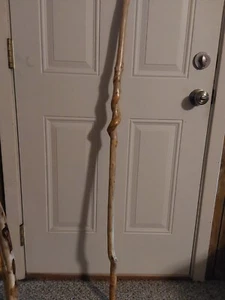 NATURAL TWISTED HIKING STICK (  BAY )  BEAUTIFUL TWISTS & COLOR - Picture 1 of 9