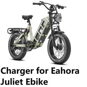 🔥 Adaptador CA 3a Cargador de batería para Eahora Juliet, Romeo Pro, Juliet III - Imagen 1 de 5