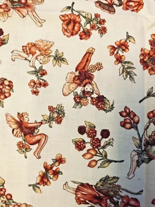 VTG ‘98 Flower Fairies 2 Bittersweet Rose & Hubble Cicely Mary Barker 22”X 12” - Picture 1 of 6