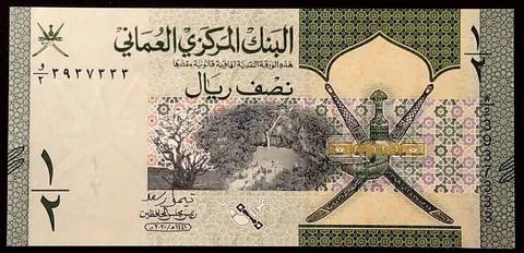OMAN 2020 NEW 1/2 RIAL LEOPARD HAWK  BANKNOTE    INV#B10301 Cover