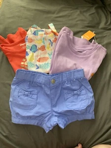 New Gymboree shirt shorts Top Outfit new size 4 4t - Picture 1 of 5