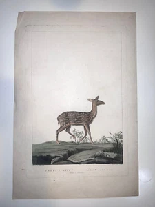 1801 Original Hand Colored Etching - Cuvier & Saint-Hilaire - Axis Deer - Picture 1 of 1