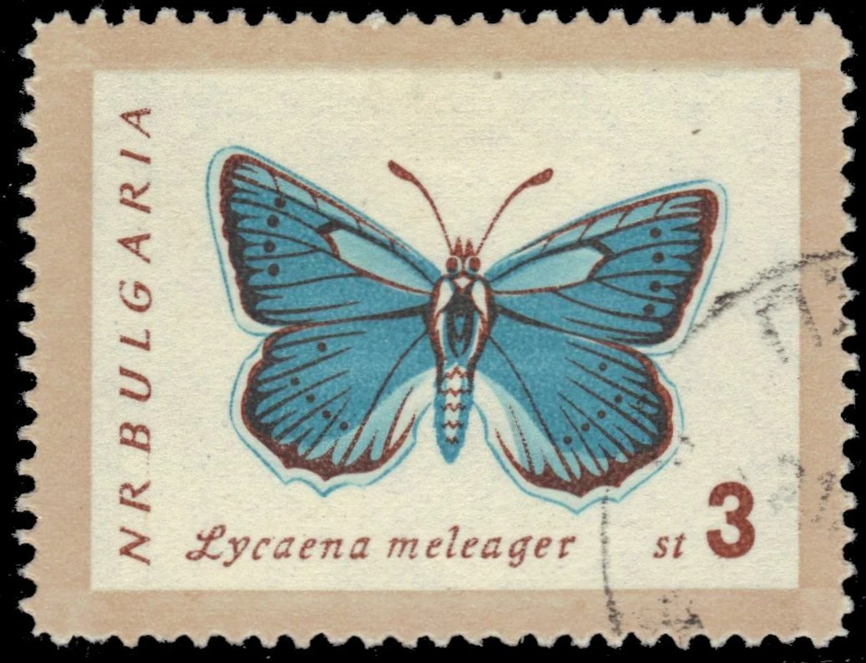 BULGARIA 1240 - Mariposas "Lycaena daphnis" (pa74181) Foto 1 de 1