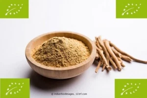 500 g de polvo de ashwagandha BIO, sin aditivos, 100 % puro - Imagen 1 de 1