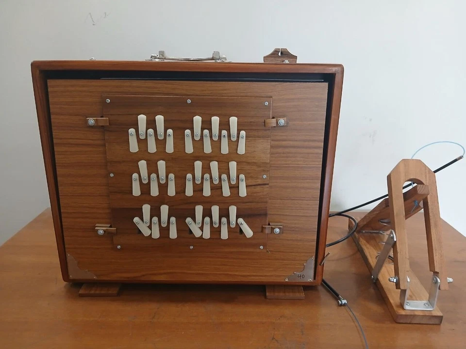 Caja Shruti India Hecha a Mano 36 Teclas, 3 Octavas, 432Hz, Madera de Teca Premium con Pedal Foto 1 de 4