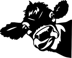peeking cow Heifer Vinyl Decal Sticker Car Window Bumper Die Cut - Bild 1 von 11