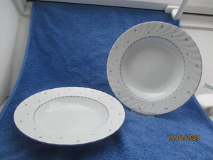 SELTMANN Weiden - Porzellan - REGINA- blauer Rand -Mücke - 2 SUPPENTELLER - 23cm - Bild 1 von 3