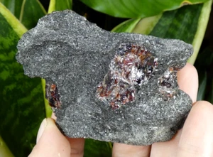 Granat Almandin Wrangell 5,5x5,5cm Mineralien Sammlung Stein Lithotherapie selten - Bild 1 von 9