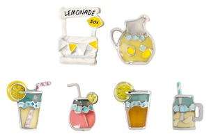 Origami Owl LEMONADE STAND, PITCHER, OR GLASS Floating Enamel FOOD & DRINK Charm - Picture 1 of 8