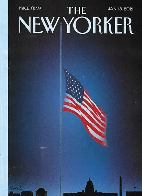 New Yorker Magazine Public Menace Skier San Francisco Gene Editing Hockney 2021 Foto 1 de 4