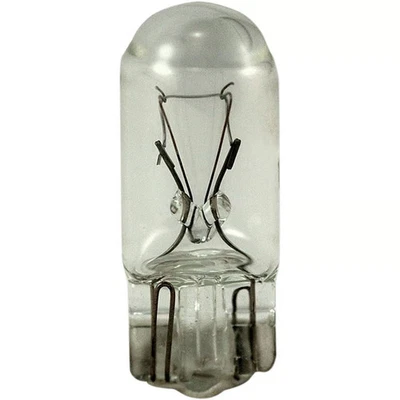 Eiko Light Bulbs - Instrument Bulb - 14V - Mfg/N 194-BP - Card Motorcycle 194-BP - Image 1 of 4