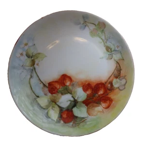 Antique 1910s Favorite Bavaria Hand Painted China Plate Berry /Raspberries Plate - Picture 1 of 8