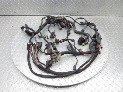 2019 Harley Davidson FLSB Sport Glide OEM Main Engine Wiring Harness Loom Wires - Image 1 of 4