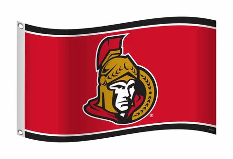 Sports Vault Ottawa Senators 3'x5' Flag Cover