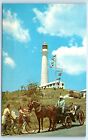 Postcard Gibb's Hill Lighthouse Bermuda Second Oldest Iron Light
