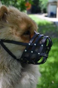 Light Leather dog Muzzle Chow Chow & Other similar snouts - Picture 1 of 11