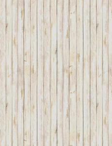 Wooden Boardwalk Texture Beach Fabric Cotton Timeless Treasures CD1870 By Yard - Picture 1 of 1