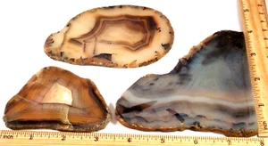 3 Marvelous Agates Total 8.6 Ounces Free Shipping None Wet #3388 - Picture 1 of 6