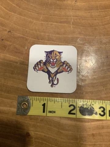 Vintage Florida Panthers Magnet NHL HOCKEY Cover
