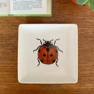 Bandeja de baratijas Ladybug de Magpie - Colección Curiosidades - Imagen 1 de 2