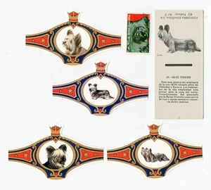 SKYE TERRIER COLLECTION OF VINTAGE COLLECTABLE DOG BANDS STAMP & MATCHBOOK CARD - Picture 1 of 1