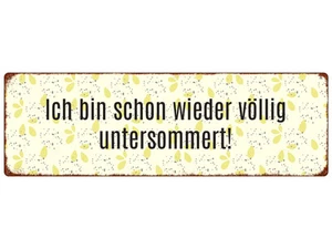 METALLSCHILD Blechschild ICH BIN SCHON WIEDER VÖLLIG UNTERSOMMERT Sommer Spruch - Bild 1 von 2