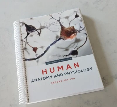 Human Anatomy and Physiology 2nd ed. Laboratory Manual, M. Shopper - Image 1 of 4