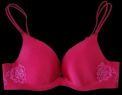 Victoria's Secret 2007 Angels Embrace Embroidered Roses Are Red Push-Up Bra 36B - Image 1 of 4