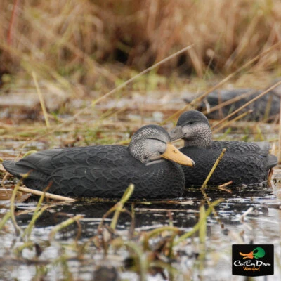 AVERY OUTDOORS GHG OVER-SIZE BLACK DUCK DECOYS - 1/2 DOZEN - Image 1 of 4