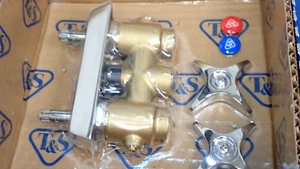 "T&S Messing B-0512 verdeckter Mischwasserhahn 3/8" NPT 4-Arm Griffe Wandhalterung ""Neu" - Bild 1 von 2