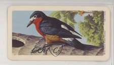 1964 Brooke Bond Red Rose Tropical Birds Tea American Blue Backs #29 h3a