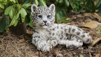 Estatua de jardín de leopardo de las nieves para decoración de jardín de vida silvestre decoración del hogar Foto 1 de 4